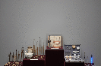 The Development of Dental Specialties Throughout History