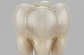 The Outer Shell A Closer Look at Your Tooths Enamel