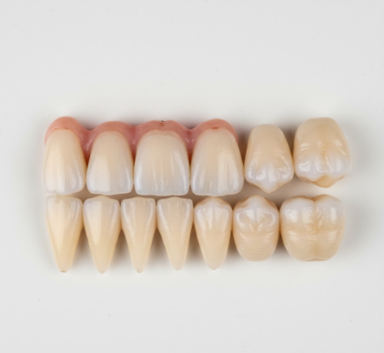 Why Your Front Teeth Are Shaped Differently Than Back Teeth