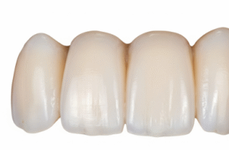 Why Your Incisors Are Shaped Like Little Chisels